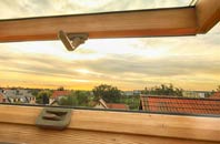 rated Howdon roof window companies